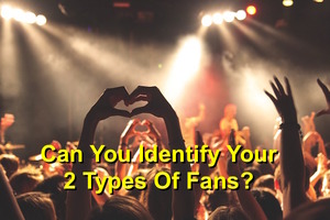 2 types of fans on the Music 3.0 blog