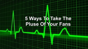fan pulse on the Music 3.0 Blog