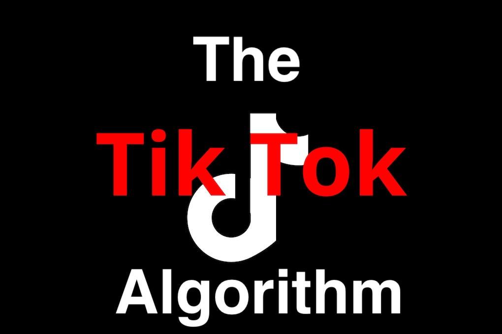 The TikTok algorithm image