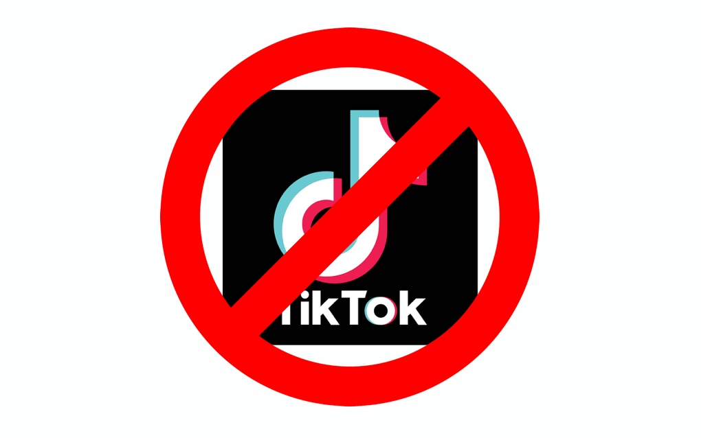 Possible TikTok ban in the United States
