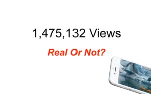Video views - real or not?